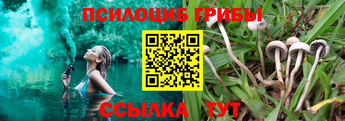 Полевской  Галлюциногенные грибы ЛСД  Вход с VPN 