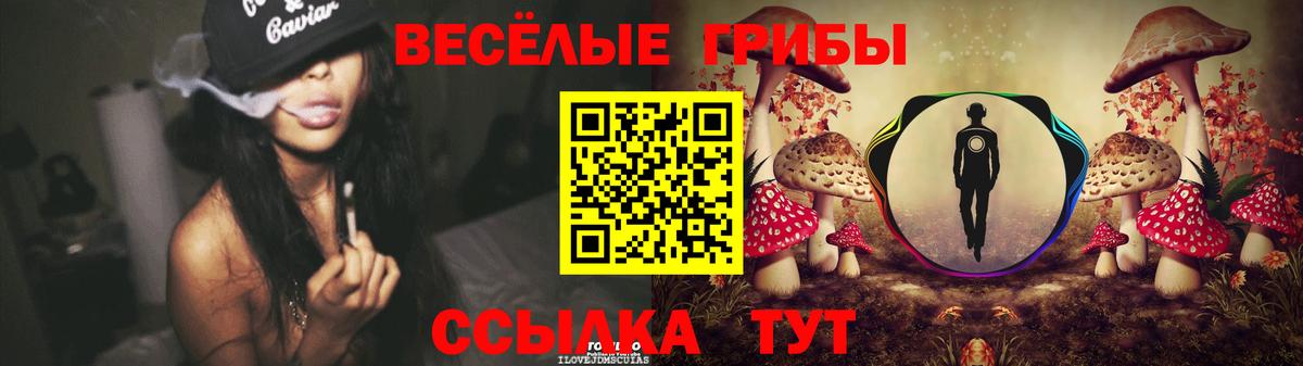 Галлюциногенные грибы мицелий Полевской